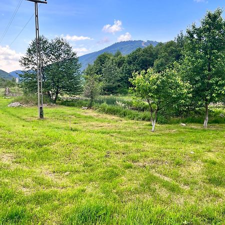 La Gradina Ξενοδοχείο Mehadija Εξωτερικό φωτογραφία