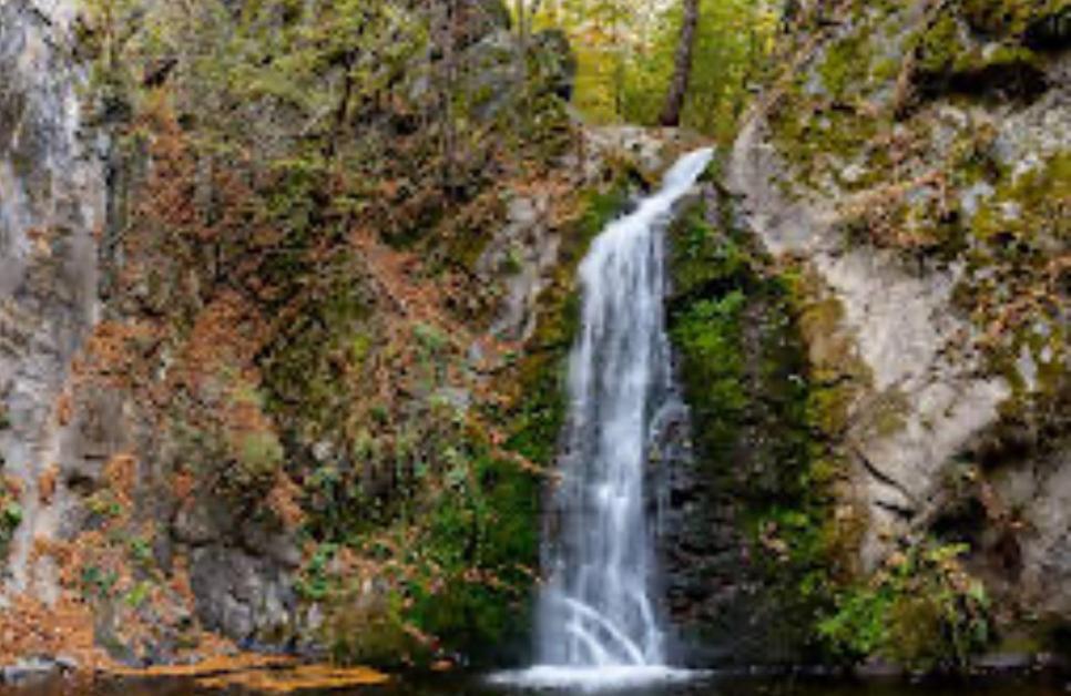 La Gradina Ξενοδοχείο Mehadija Εξωτερικό φωτογραφία