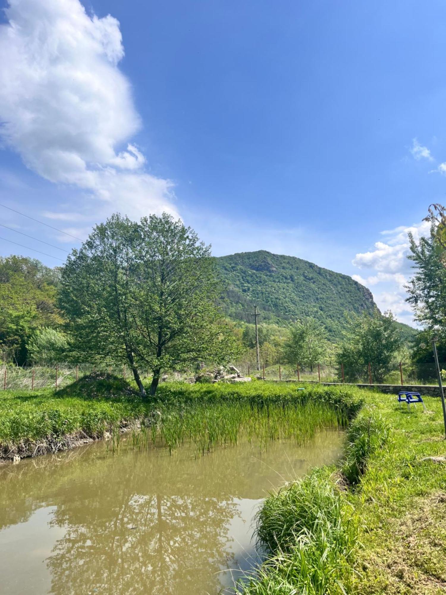 La Gradina Ξενοδοχείο Mehadija Εξωτερικό φωτογραφία