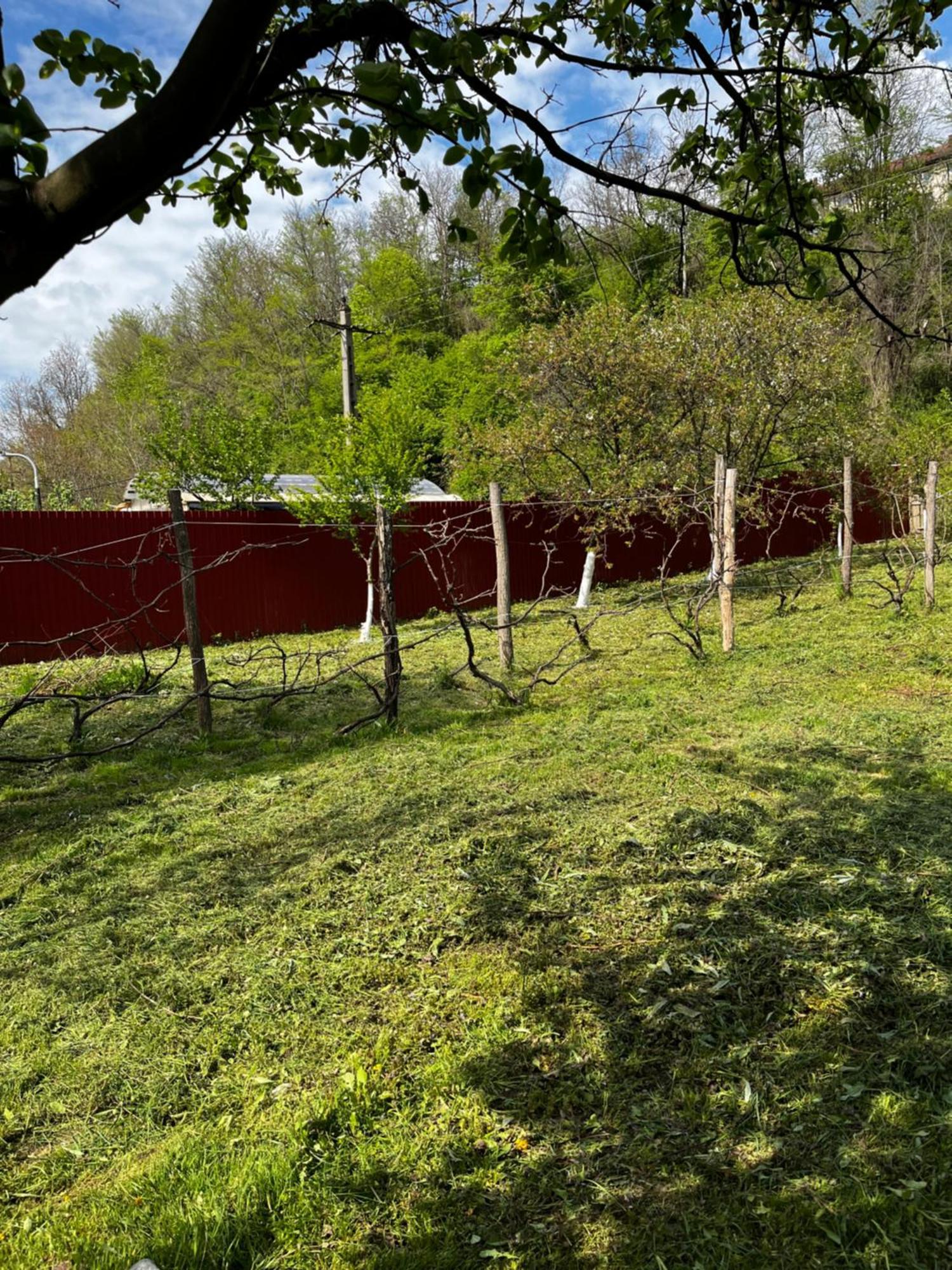 La Gradina Ξενοδοχείο Mehadija Εξωτερικό φωτογραφία