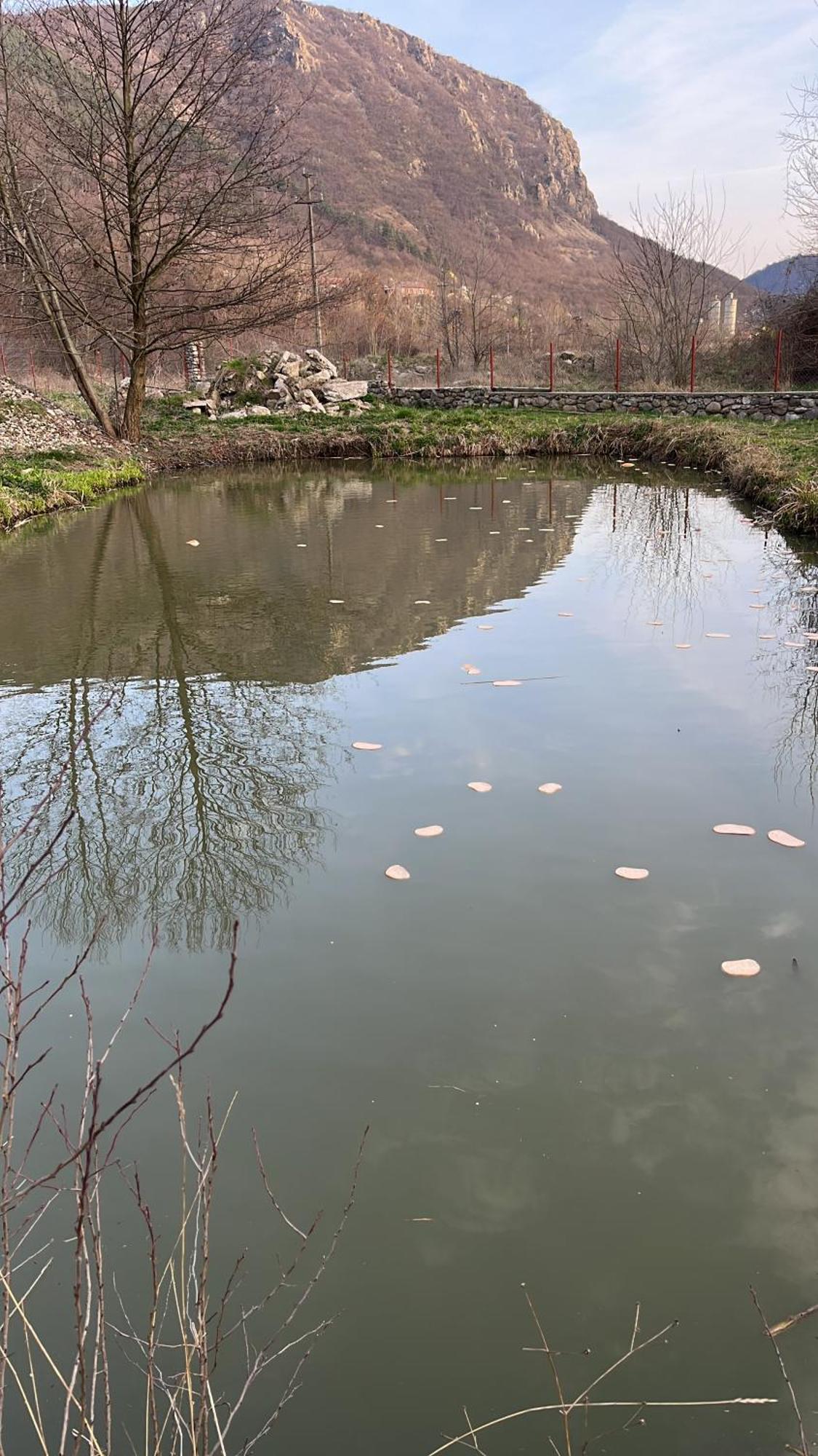La Gradina Ξενοδοχείο Mehadija Εξωτερικό φωτογραφία