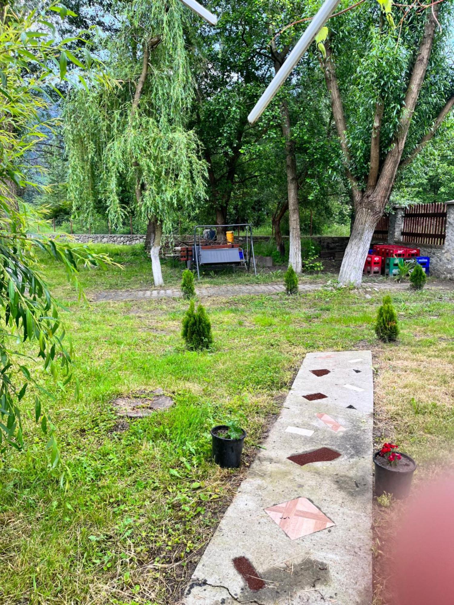 La Gradina Ξενοδοχείο Mehadija Εξωτερικό φωτογραφία